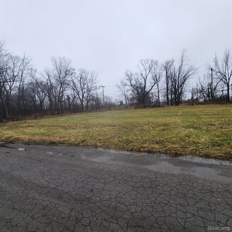 2242 SAINT JOSEPH Street, Detroit, MI 48207 — Photo 2