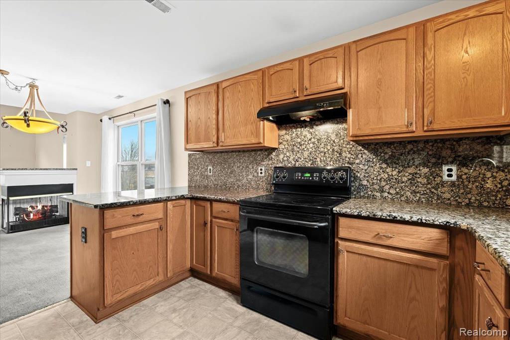 1039 FOUNTAIN VIEW Circle, South Lyon, MI 48178 — Photo 11