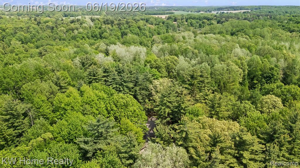 4474 Five Lakes Road, North Branch, MI 48461 — Photo 32