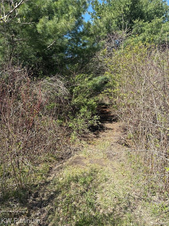 Parcel C Wicha Drive, Burtchville, MI 48059 — Photo 8