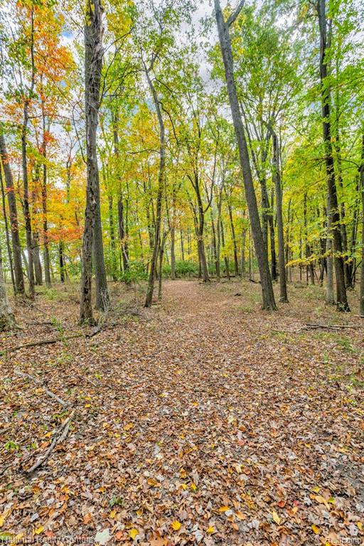 1050 W Vicary Rd. Road, Liberty, MI 49233 — Photo 27