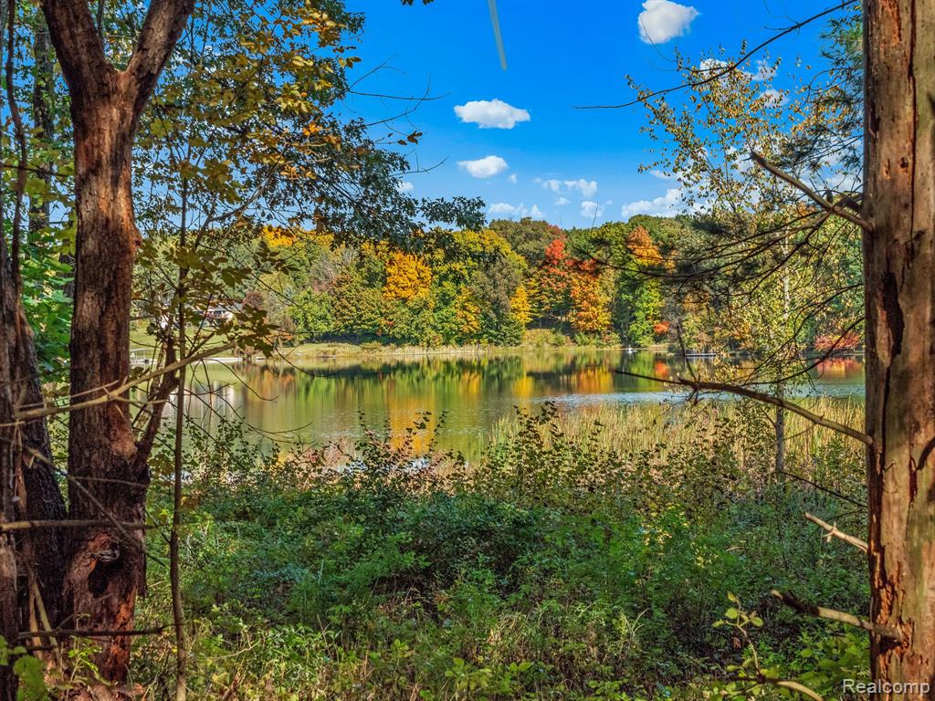 4695 Waterwood Way, Howell, MI 48855 — Photo 4