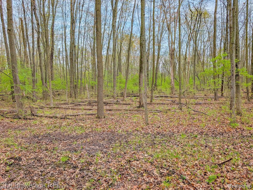 6179 W CARPENTER Road, Flushing, MI 48433 — Photo 22