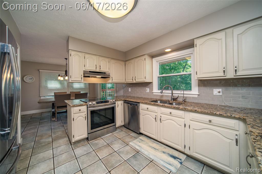 2915 Dunsary Lane, Brighton, MI 48114 — Photo 10