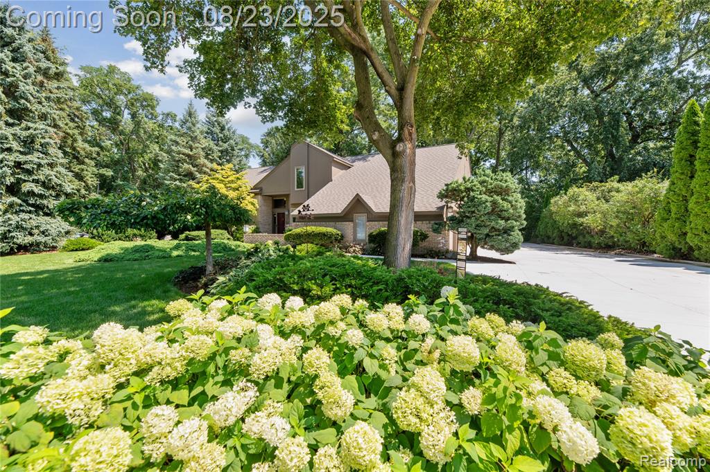 55138 Lordona Lane, Shelby Twp, MI 48315 — Photo 2
