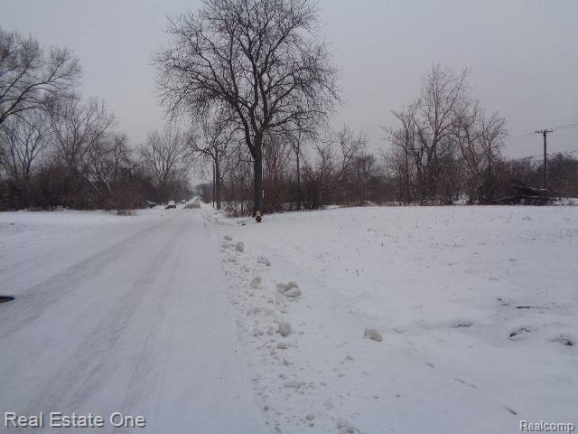 446 CONCORD Street, Detroit, MI 48207 — Photo 5