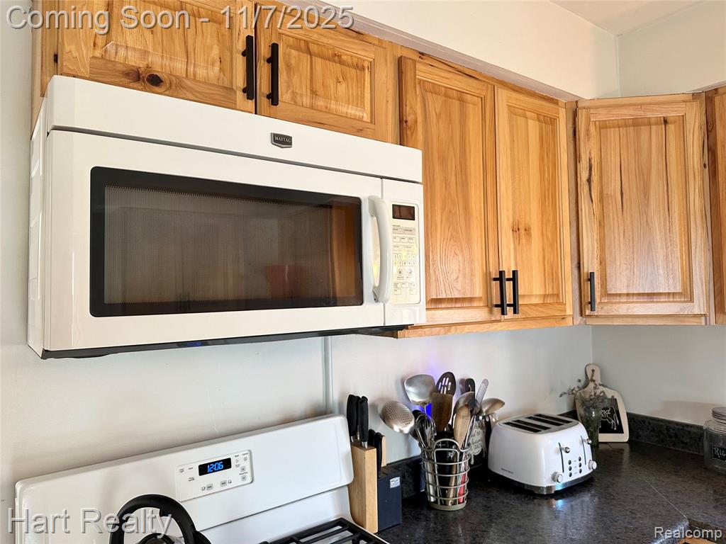 6865 Saint Marys Street, Brown, MI 48416 — Photo 10