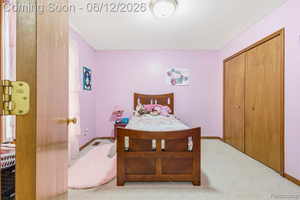 53428 Gregory Drive, Macomb, MI 48042 — Photo 14