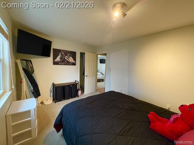 6332 Superior Drive, Brighton, MI 48116 — Photo 20