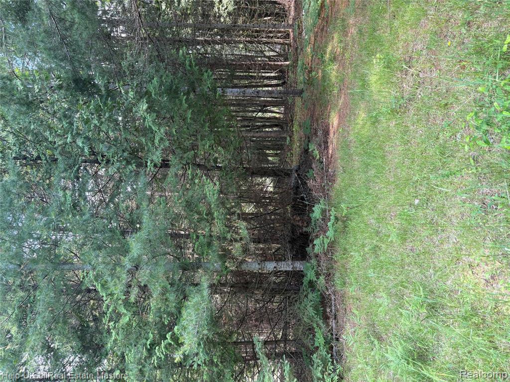 9999 W. Hubert rd Road, Hubbard Lake, MI 49747 — Photo 7
