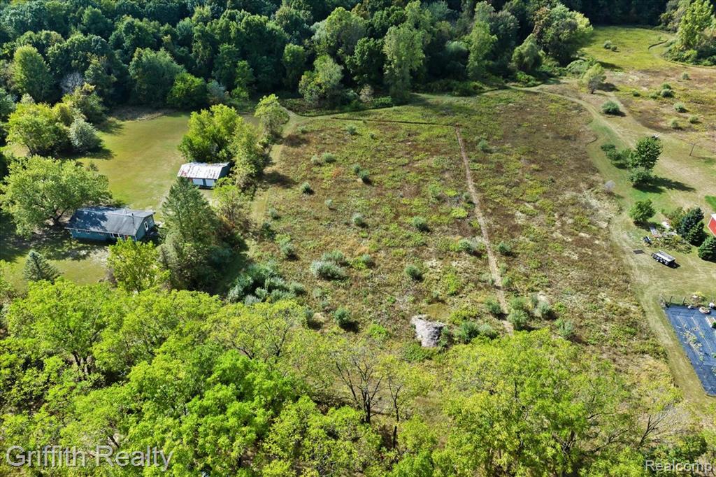 9800 Beeman Road, Chelsea, MI 48118 — Photo 9