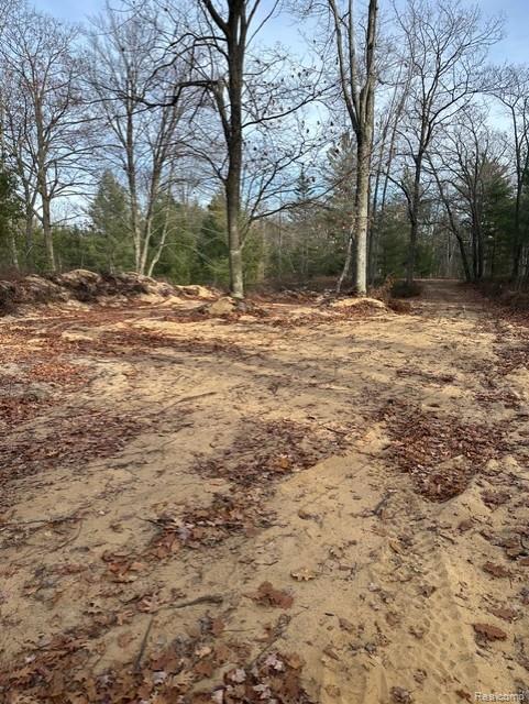 VL W AuSable Point Road, Oscoda, MI 48750 — Photo 17