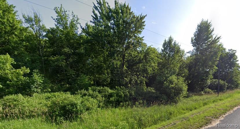 39930 County Road 380, Bloomingdale, MI 49026 — Photo 2