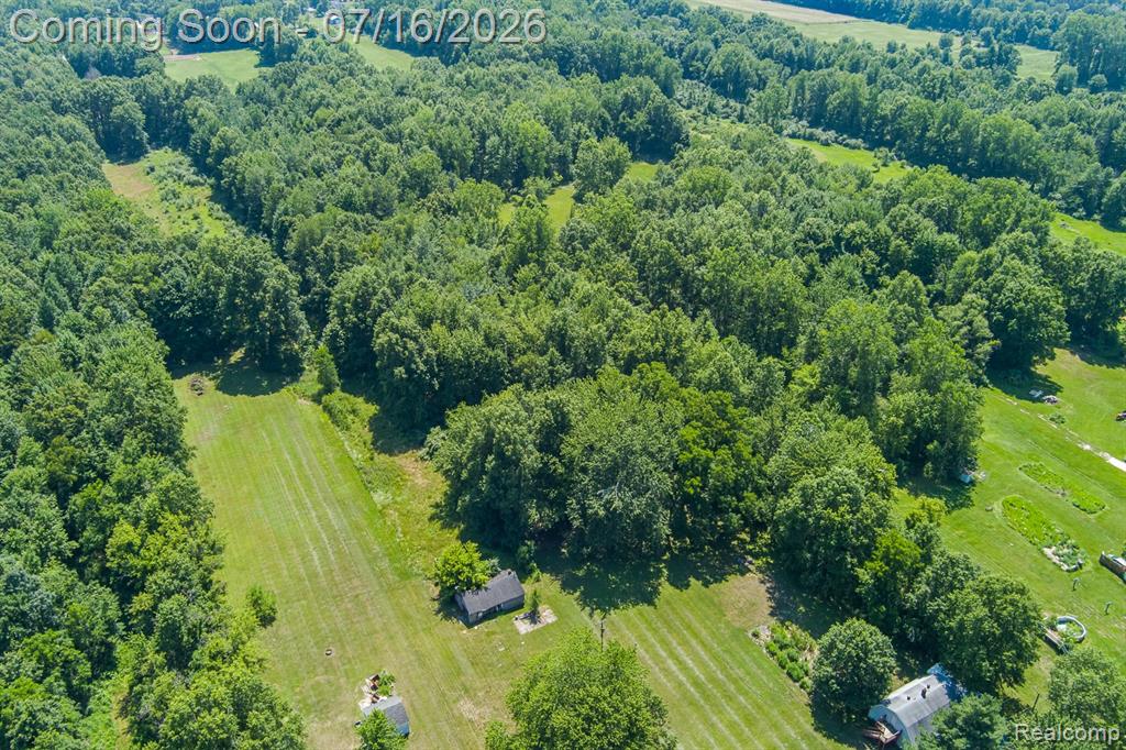 43995 Bemis Road, Sumpter, MI 48111 — Photo 64