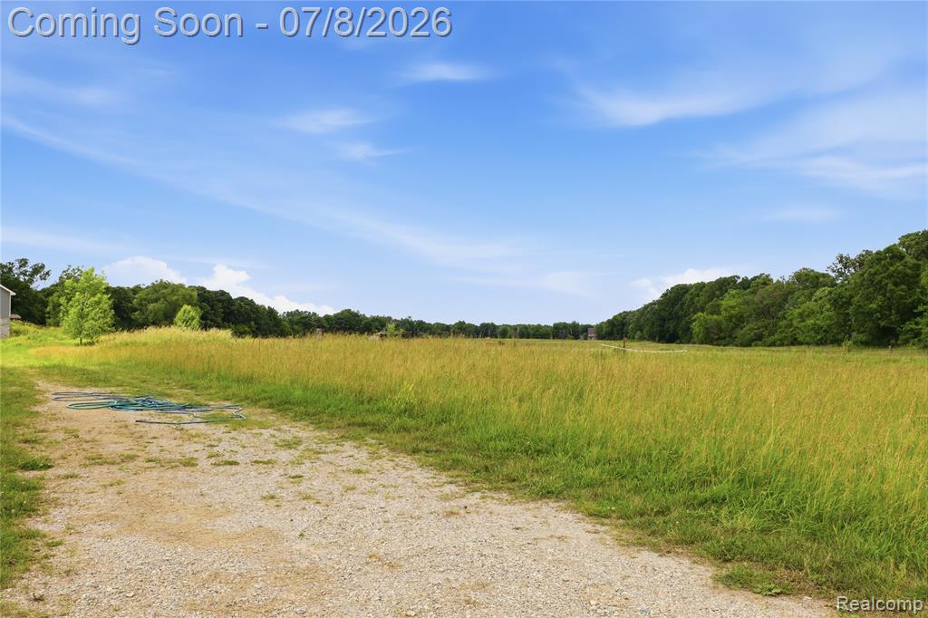 253 Park Street, Gaines Vlg, MI 48436 — Photo 20