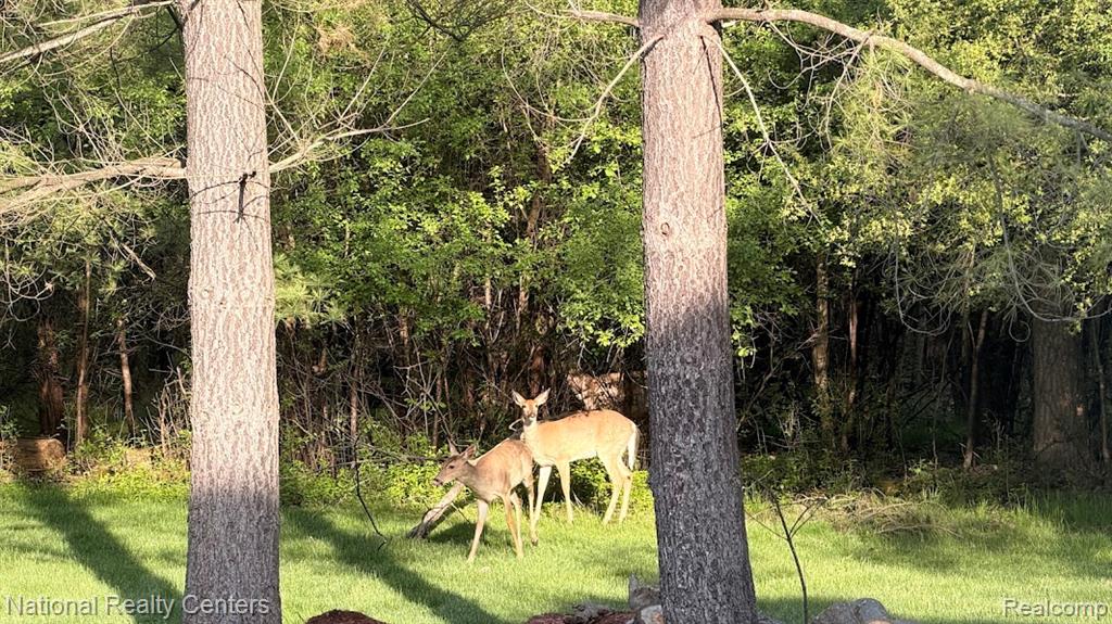 30055 FOREST Drive, Franklin, MI 48025 — Photo 54