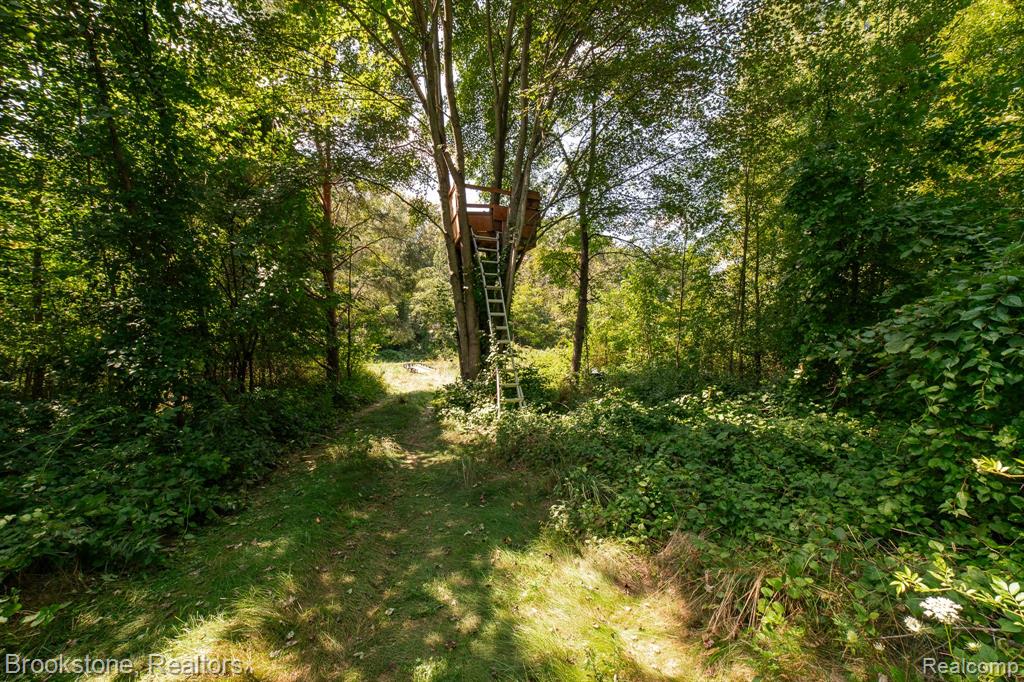 VL Sashabaw Road, Ortonville, MI 48462 — Photo 7