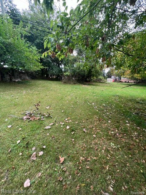 000,001,002,003 Walton - possible 4 home sites - Photo 4