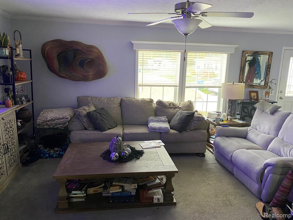 9922 Macbeth Street, Fenton, MI 48430 — Photo 14