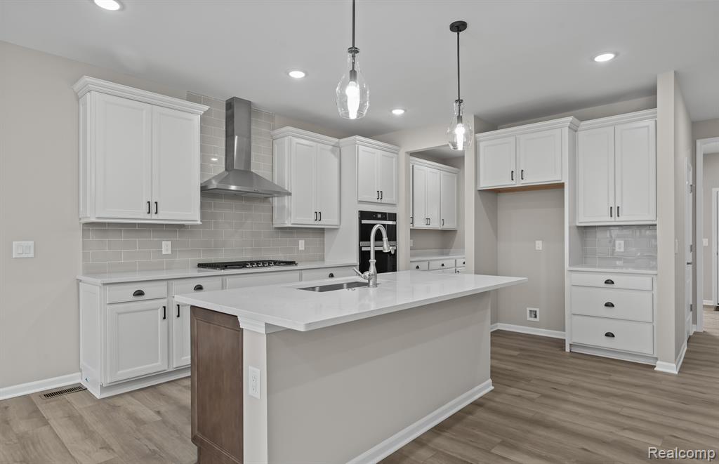 59559 Schuss Gully Drive, New Hudson, MI 48165 — Photo 11