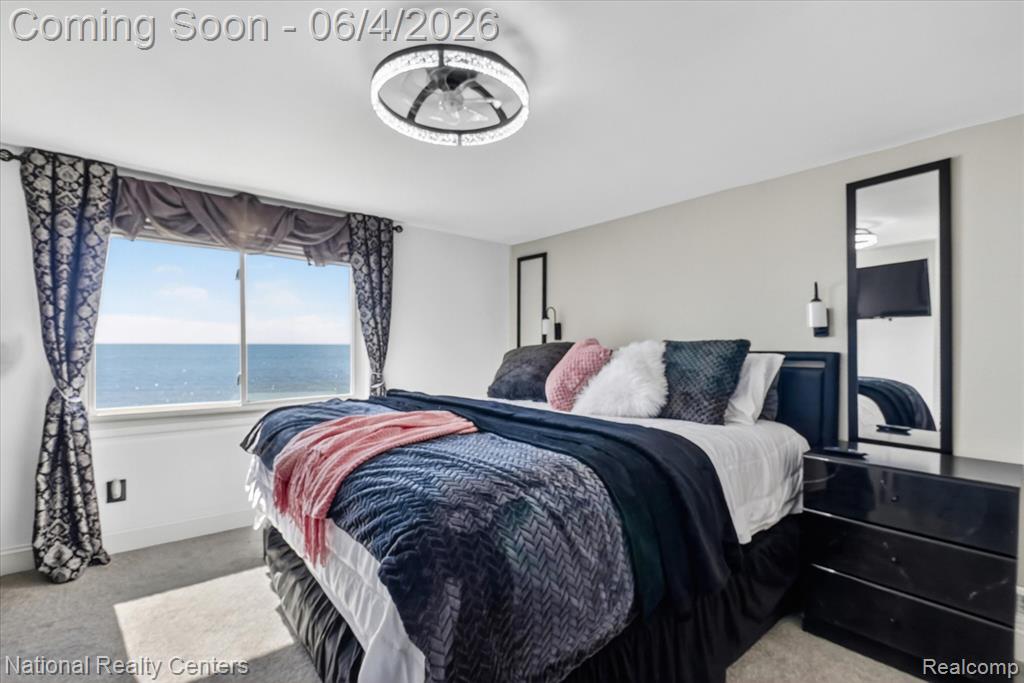 3946 Lakeshore Drive, Newport, MI 48166 — Photo 34