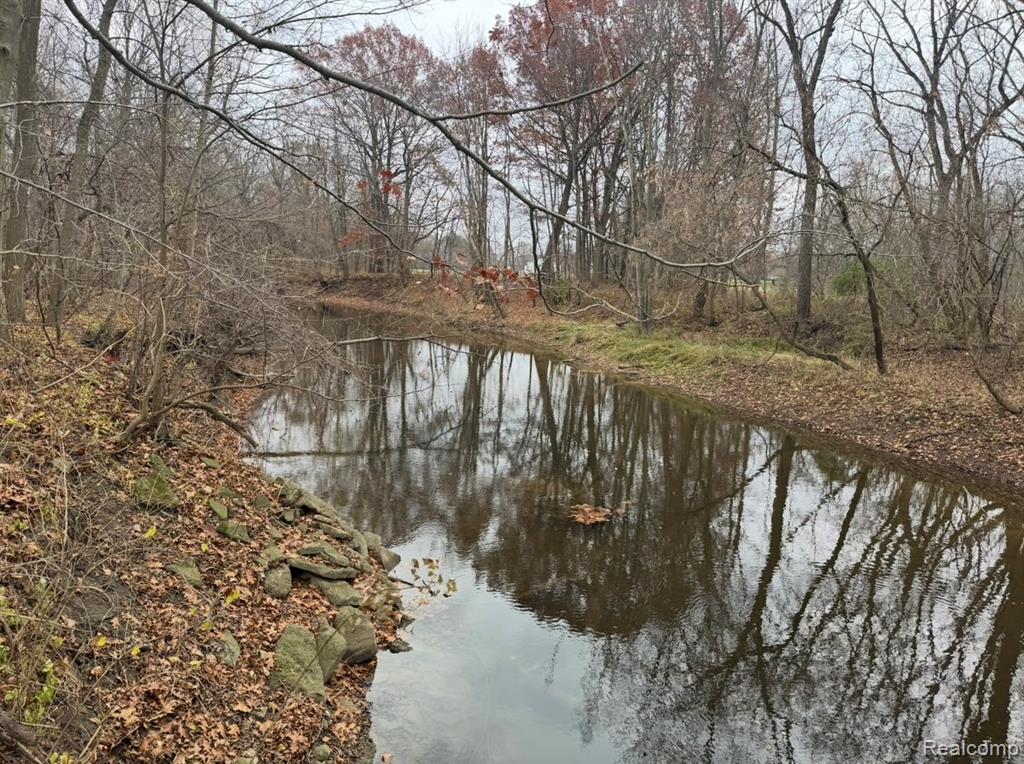 01 Remer Road, China, MI — Photo 12