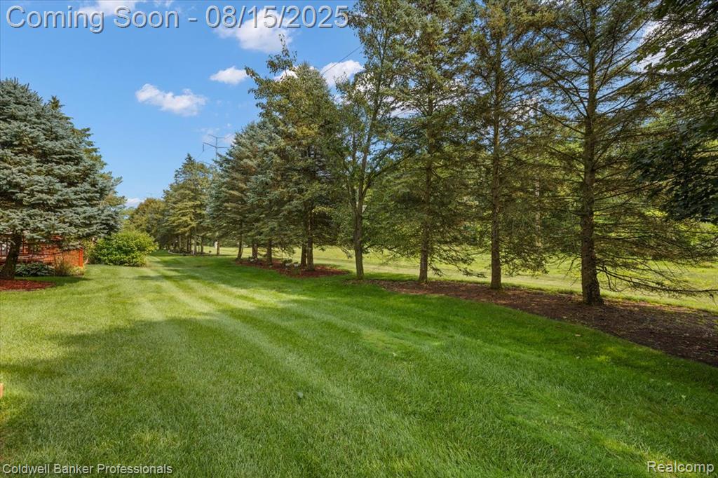 51373 Northview, Plymouth, MI 48170 — Photo 4