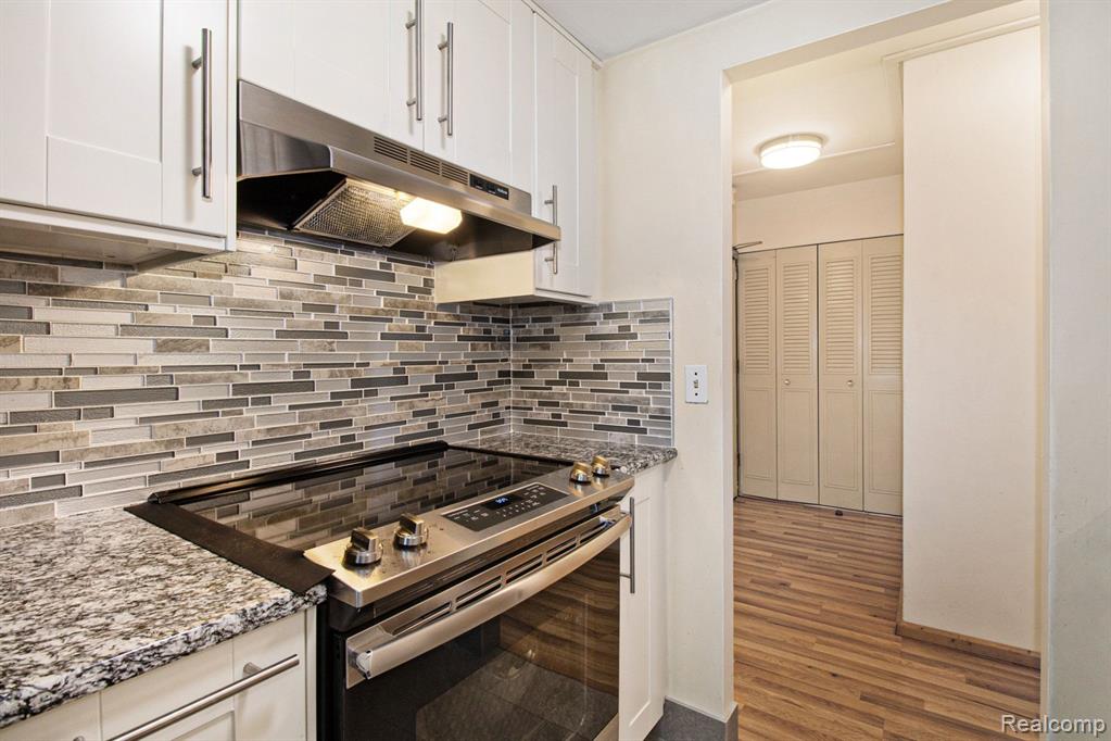 555 E William Street, 5J, Ann Arbor, MI 48104 — Photo 17