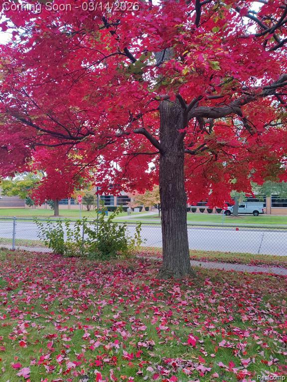 5441 Arden Avenue, Warren, MI 48092 — Photo 17