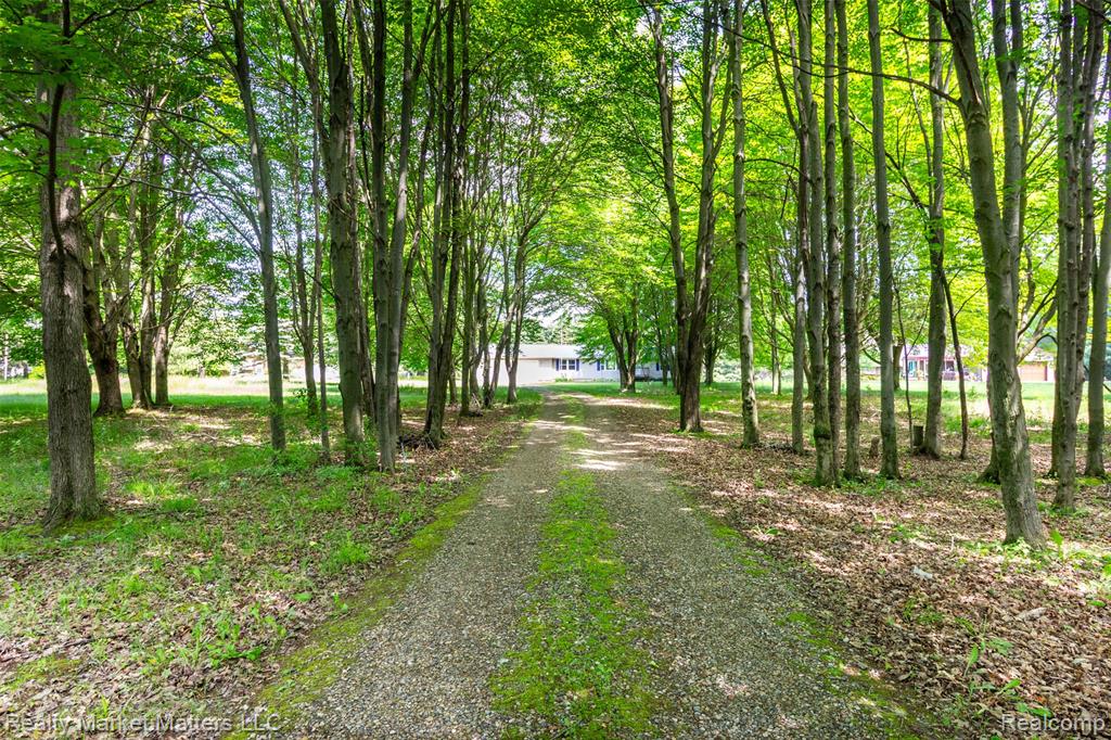 4951 Laur Road, North Branch, MI 48461 — Photo 4