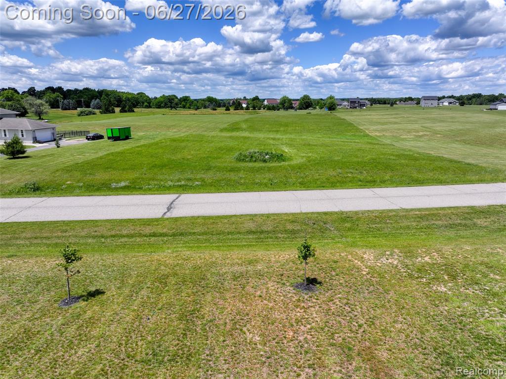 17208 Country Lane, Manchester, MI 48158 — Photo 4