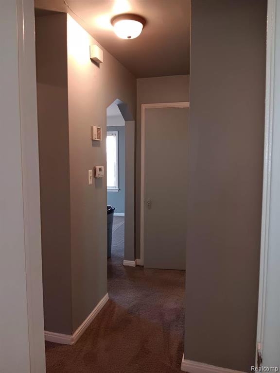9250 PLAINVIEW, Detroit, MI 48228 — Photo 9