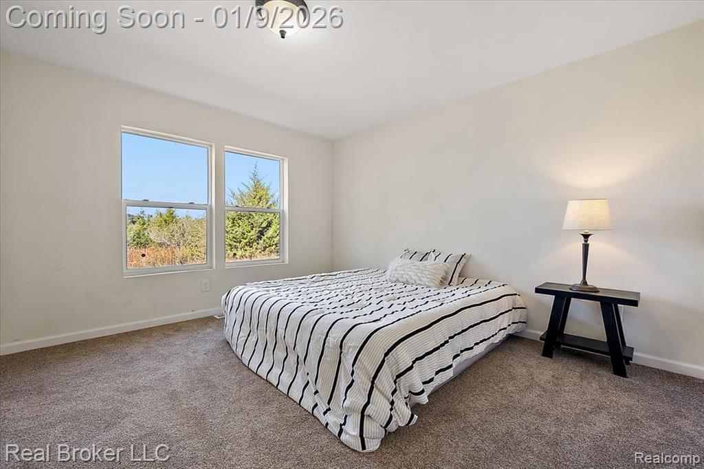 6640 Lemon Road, Bancroft, MI 48414 — Photo 15