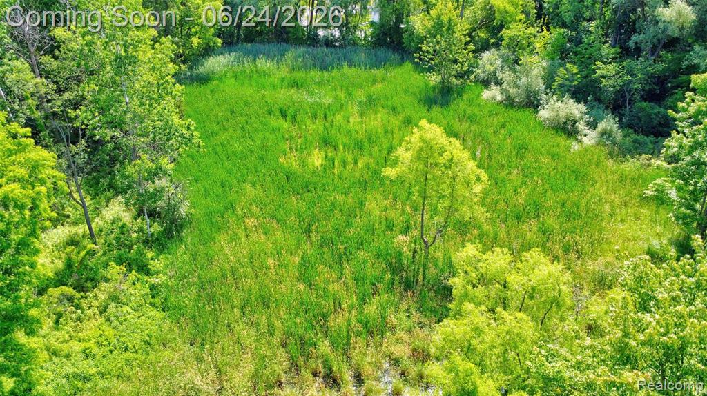 13252 Dixie Highway, Holly, MI 48442 — Photo 36