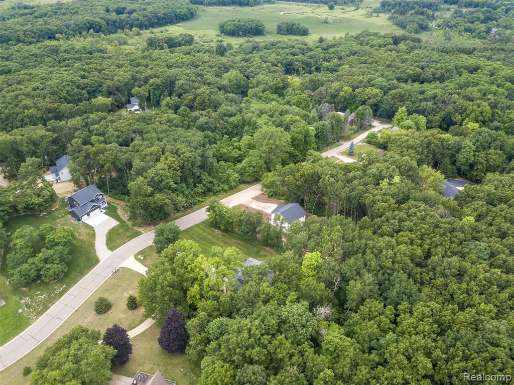 16085 Catalpa Ridge Drive, Holly, MI 48442 — Photo 37