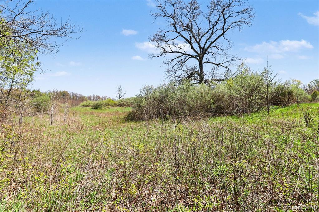 Parcel #3 Milford Rd, Holly, MI 48442 — Photo 9