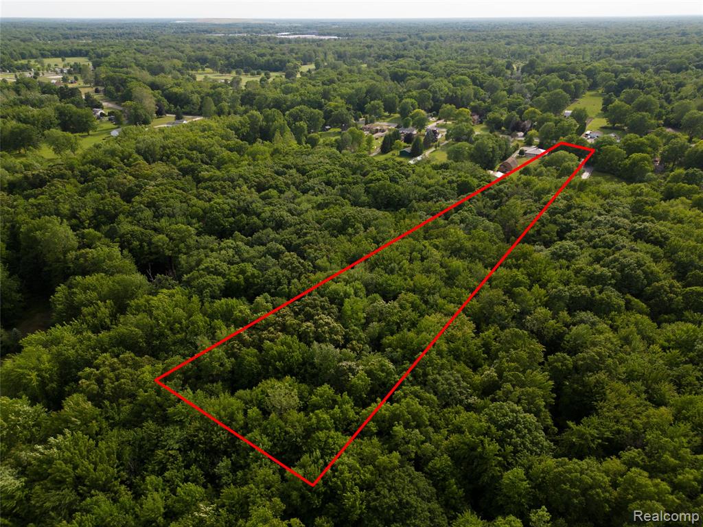 21515 Huron River Drive, New Boston, MI 48164 — Photo 62