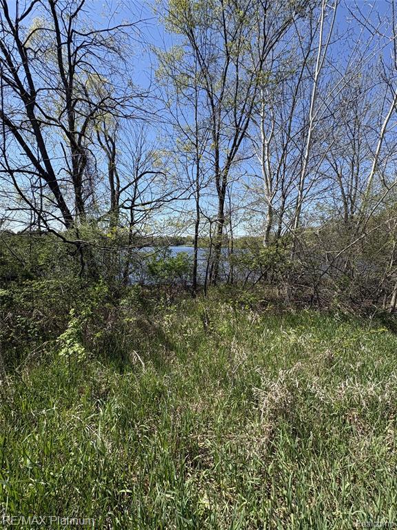 Parcel 1 Edgemont Drive, Howell, MI 48855 — Photo 13