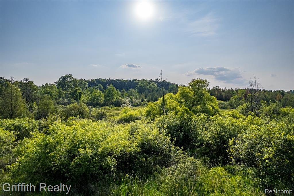 4433 Brighton Parcel C Road, Howell, MI 48843 — Photo 5