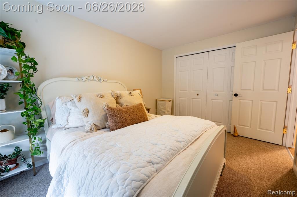 429 Dorothy Street, South Lyon, MI 48178 — Photo 23