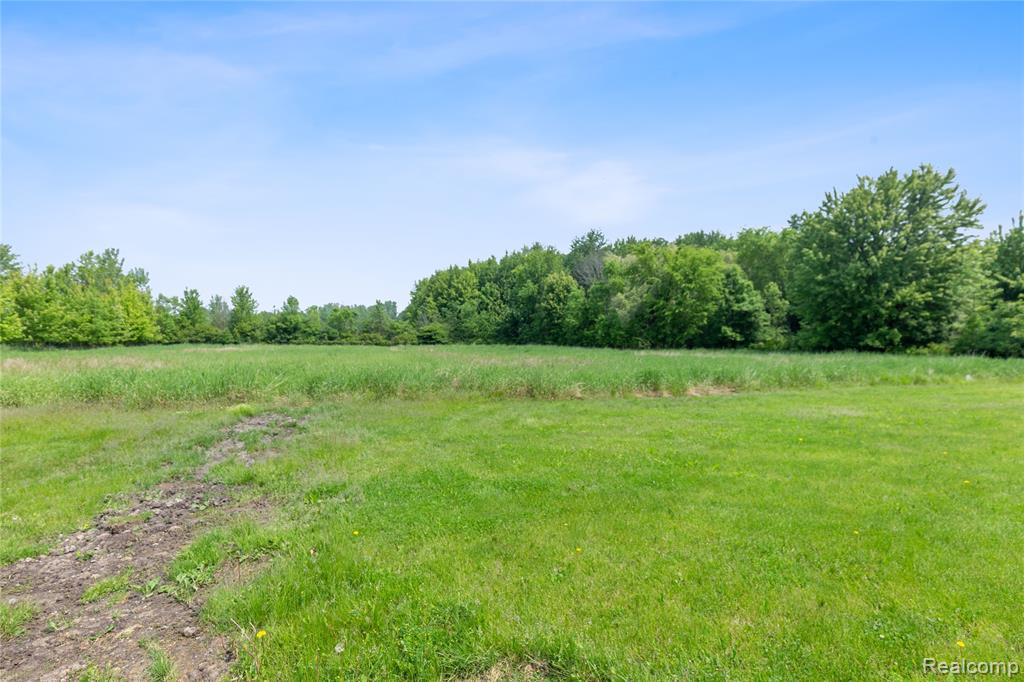 12172 Rynn Road, Emmett, MI 48022 — Photo 38