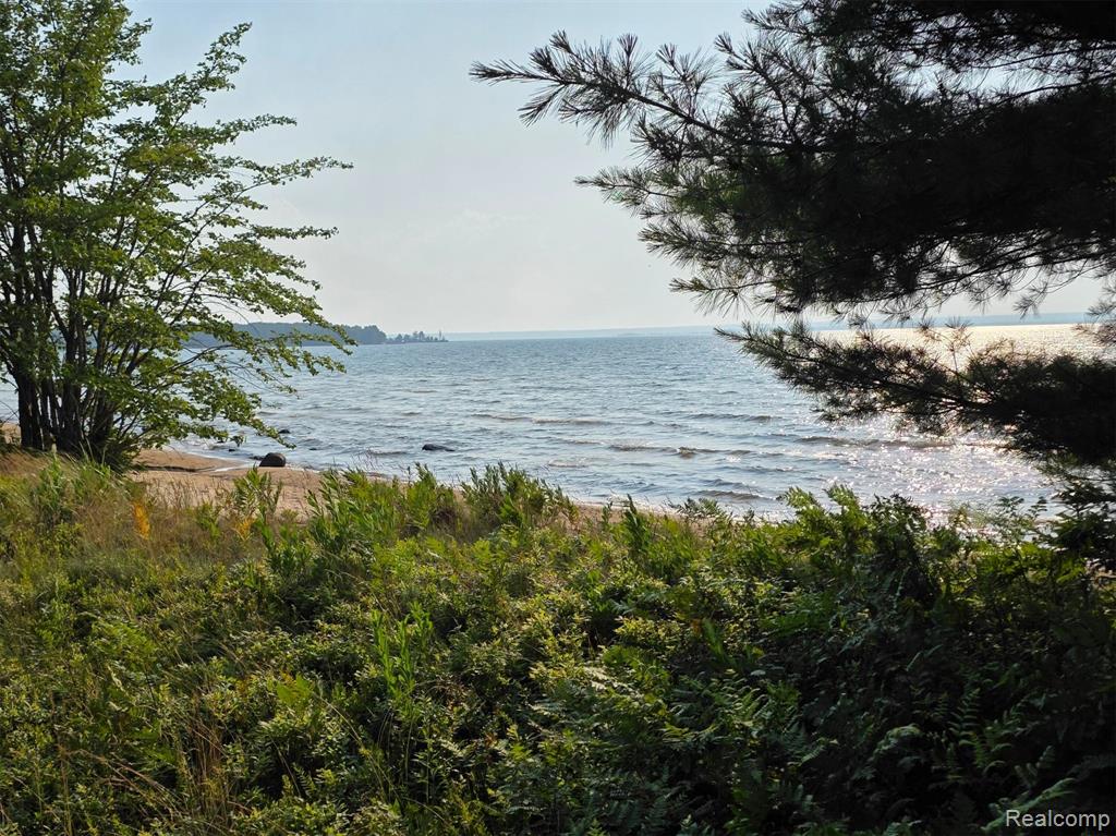 4680 S Pineshore Row, Brimley, MI 49783 — Photo 18