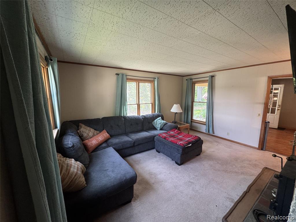 6351 Zimmer Road, Haslett, MI 48840 — Photo 13