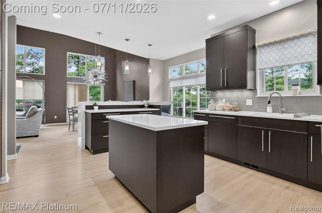 4455 Villa France Drive, Brighton, MI 48116 — Photo 25