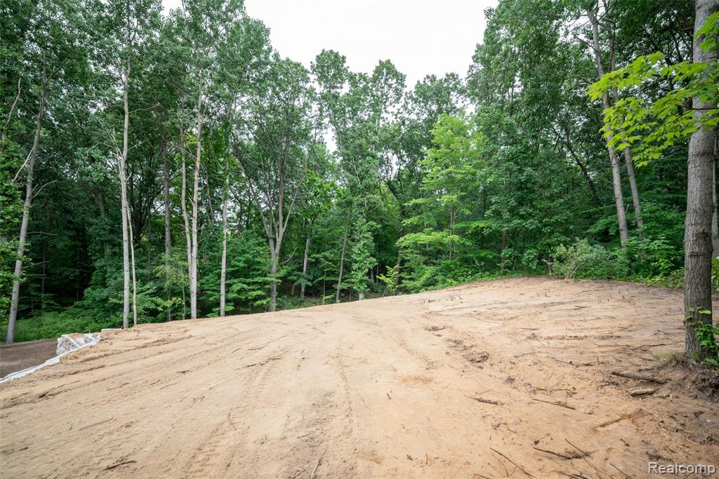 16085 Catalpa Ridge Drive, Holly, MI 48442 — Photo 31