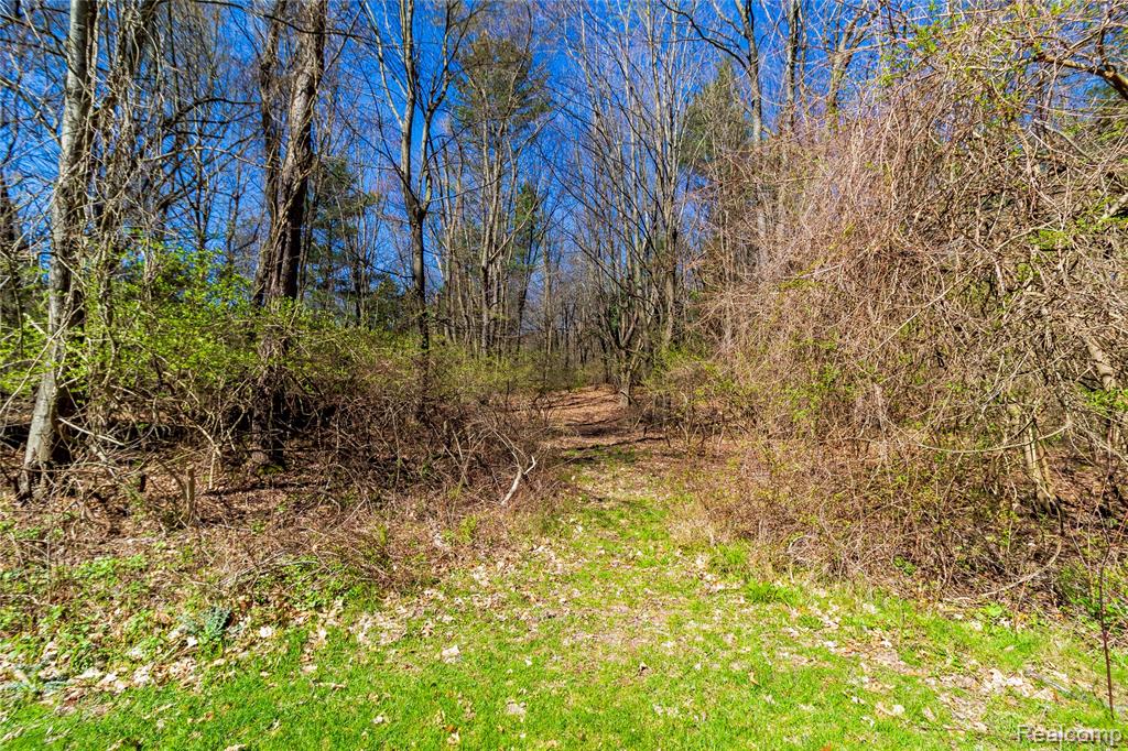 4450 Blood Road, Metamora, MI 48455 — Photo 62