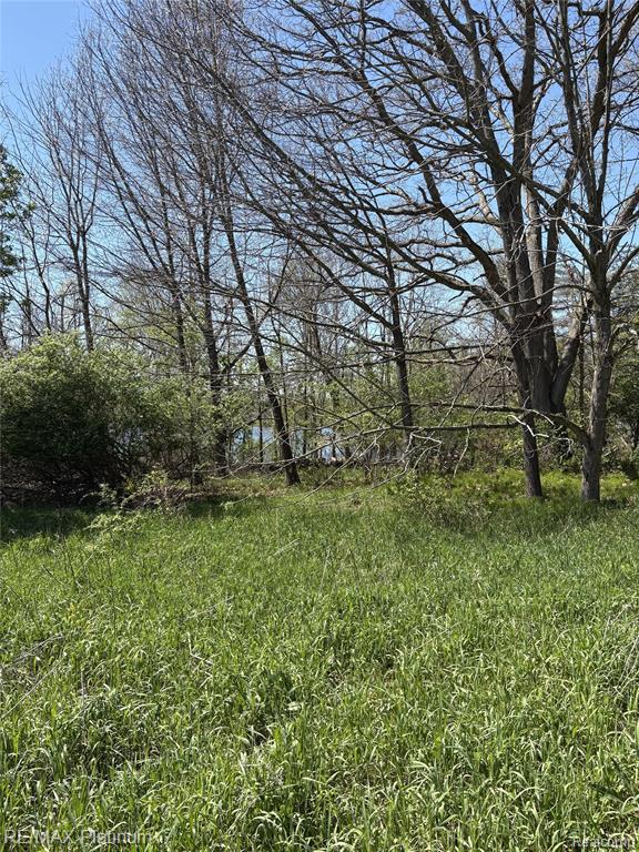 Parcel 1 Edgemont Drive, Howell, MI 48855 — Photo 7