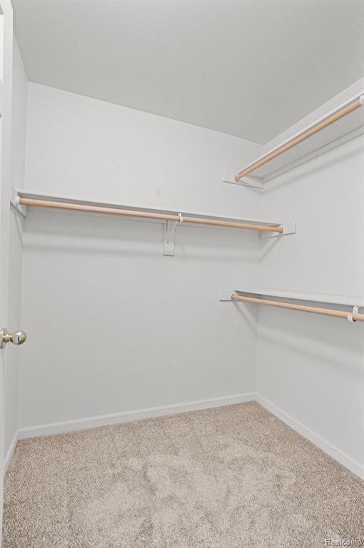 55511 BOARDWALK Drive, Shelby Twp, MI 48316 — Photo 11
