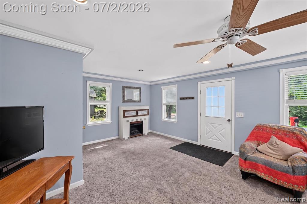 426 Hamblin Street, Owosso, MI 48867 — Photo 9