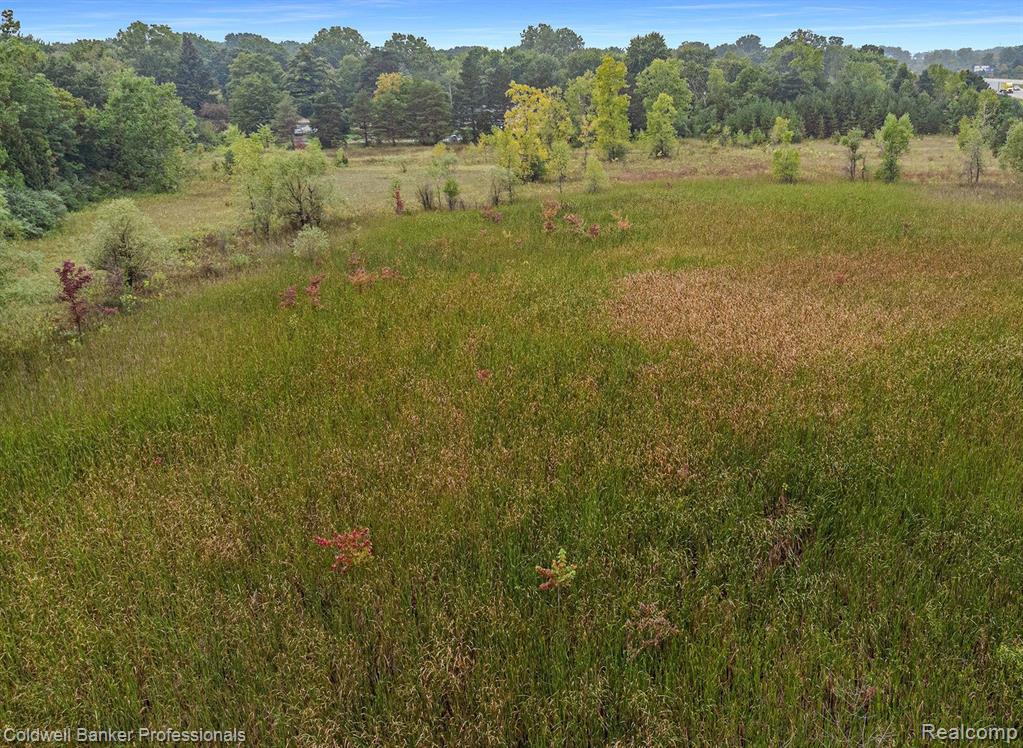 1001 S Vassar Road, Davison, MI 48423 — Photo 2